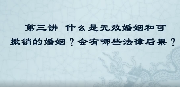 无效婚姻和可撤销婚姻