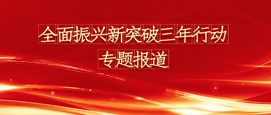 振兴新突破 巾帼勇争先|“辽宁省妇联全面振兴新突破三年行动”专题报道 第九期