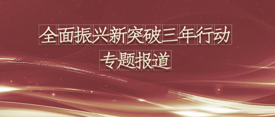 振兴新突破 巾帼勇争先|“辽宁省妇联全面振兴新突破三年行动”专题报道 第十期